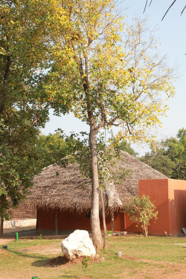 Hotel Cloudz Sigiriya Exterior foto